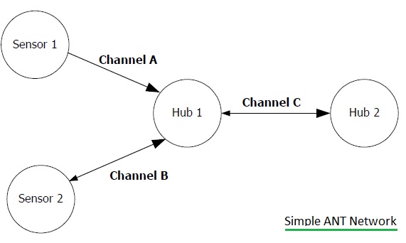 ANT-network