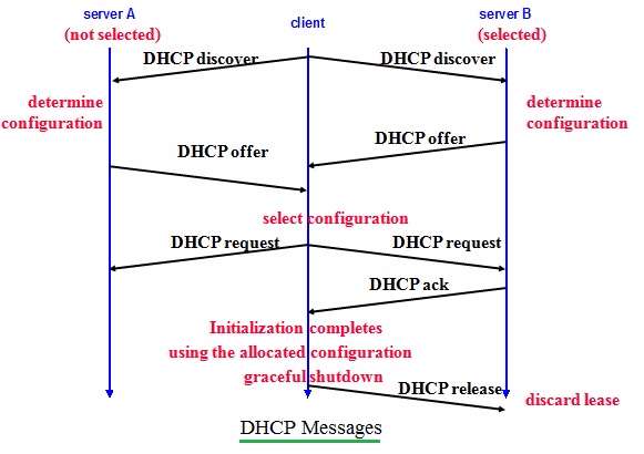 交换DHCP报文