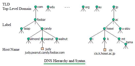 DNS结构和语法