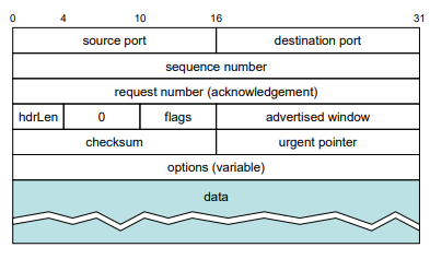 TCP报头